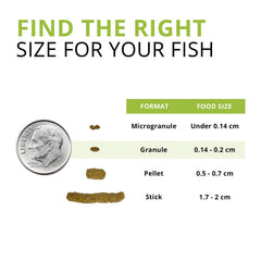 Fluval Bug Bites: proteínas omega-3 para piel, escamas y aletas sanas.