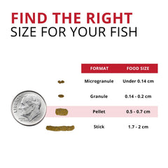 Fluval Bug Bites: vitaminas y minerales para dieta diaria equilibrada.