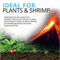 Fluval Sustrato para Plantas y Camarones facilita rápida colonización de bacterias nitrificantes beneficiosas.
