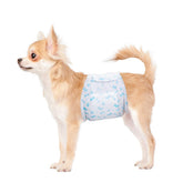 Flying Paws pañales para perro macho absorbentes brindan ajuste cómodo y protección.