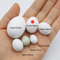 FOIBURELY: detalle del empaque de huevos falsos para aves.