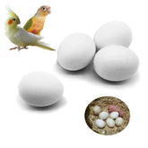 FOIBURELY: huevos plásticos falsos para aves en nido con aspecto realista.