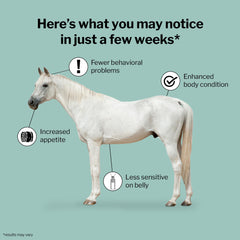 Formula 707 ULZERless caballo-pastando destaca una solución de soporte intestinal para la rutina diaria