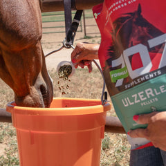 Formula 707 ULZERless ingredientes-clave: regaliz, semilla de uva y malvavisco para el bienestar intestinal