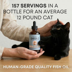 Freshly Bailey Omega3 cat coat shimmer after using this supplement.