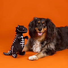 Fringe Studio Trick RAWR Treat tamaño ideal para perros de todos los tamaños.