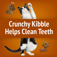 Snack completo para gatos adultos con equilibrio nutricional