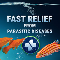 Empaque Fritz Expel-P con 20 unidades para acuario