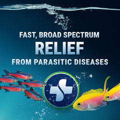 Fritz Aquatics ParaCleanse: empaque práctico para acuario sin dañar plantas