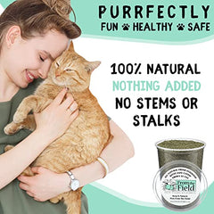 From The Field Catnip semillas nepatalactona esterilizadas para uso seguro