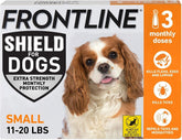 Frontline Shield aplicado en un perro pequeno para controlar pulgas