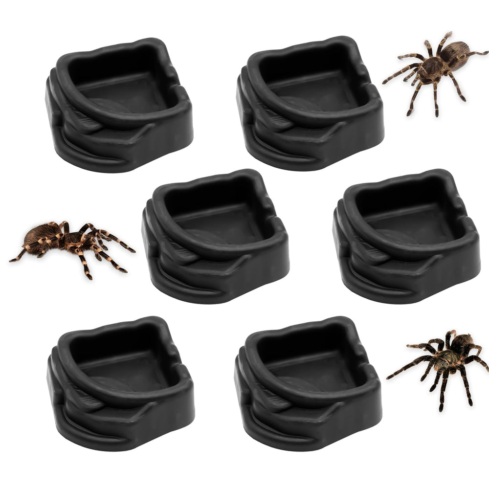 FUATY cuenco-agua-resina-tarantula: cuenco pequeño para tarántula, fácil de rellenar.