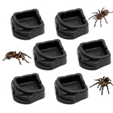 FUATY cuenco-agua-resina-tarantula: cuenco pequeño para tarántula, fácil de rellenar.