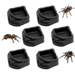 FUATY cuenco-agua-resina-tarantula: cuenco pequeño para tarántula, fácil de rellenar.