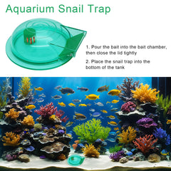 FUATY trampa de caracoles para agua dulce, ideal para acuarios pequeños.