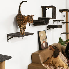 FUKUMARU gato-durmiendo-en-cama-pared: descanso cómodo en posición elevada.