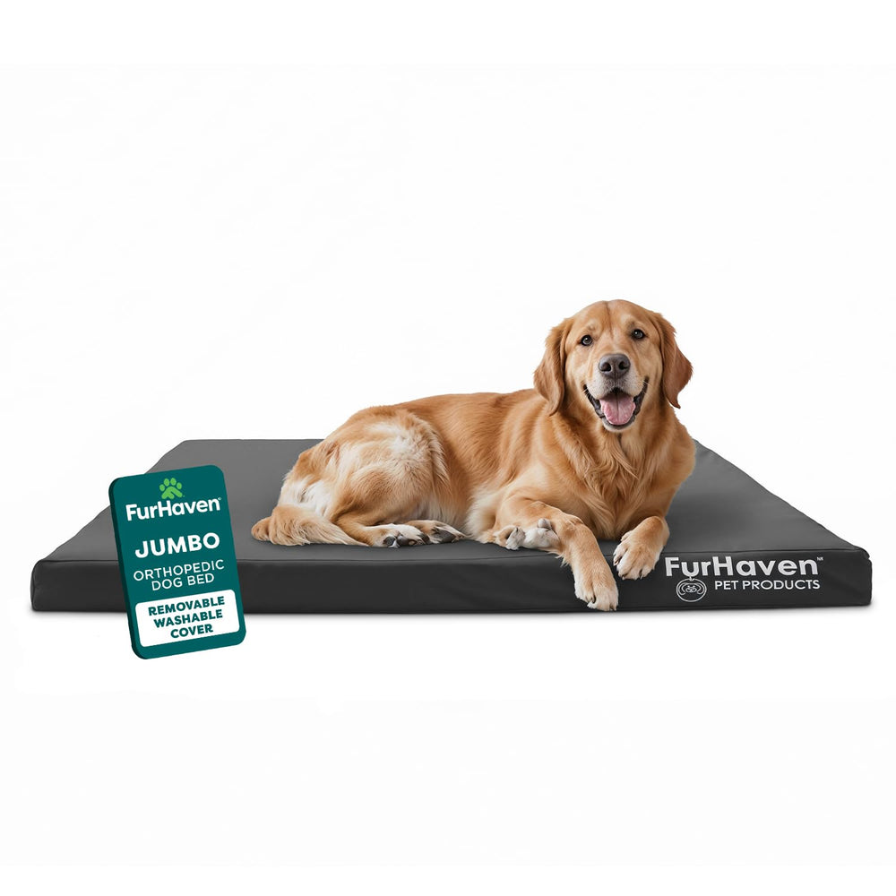 Cama ortopédica Furhaven para perro grande, impermeable y cómoda para interior y exterior.