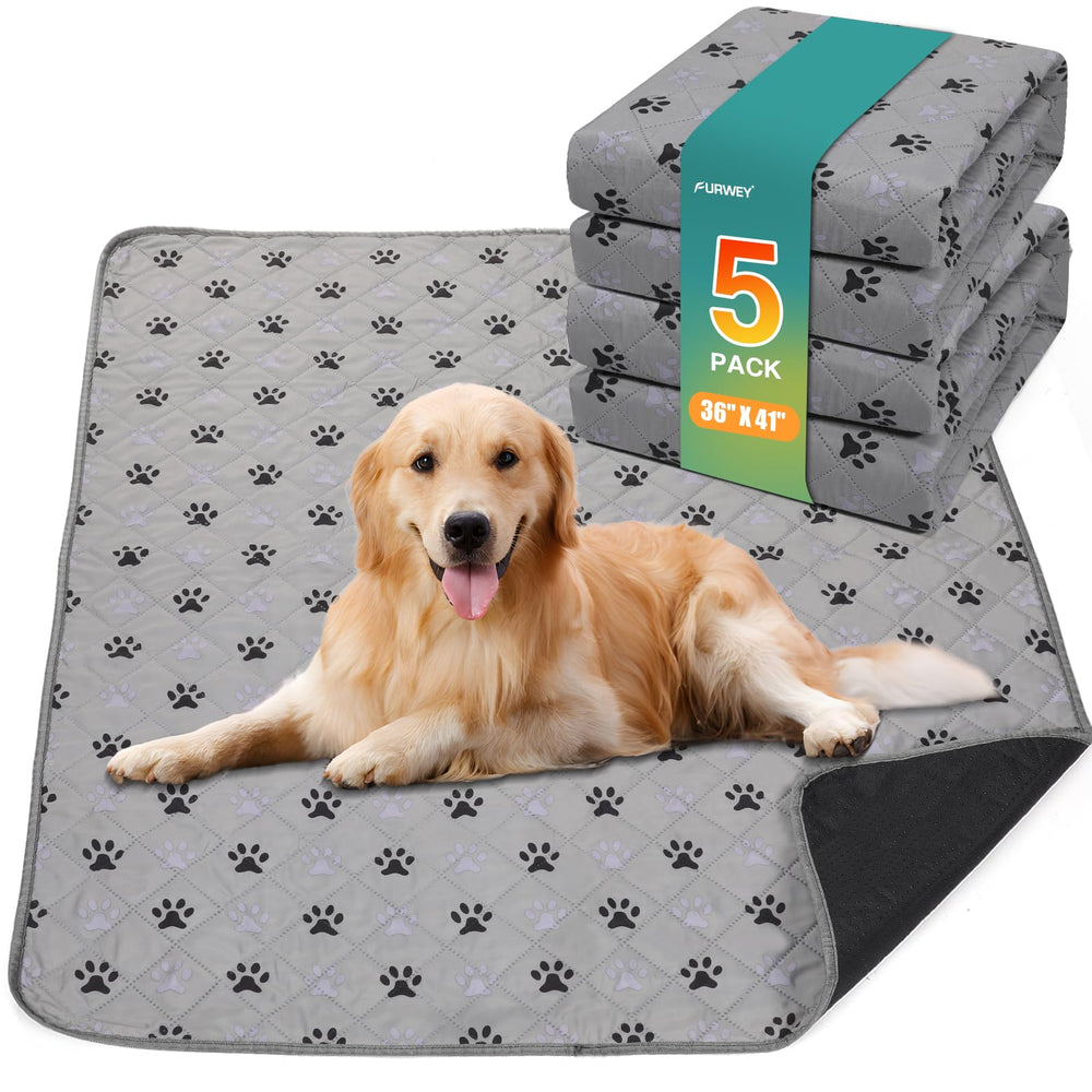 Furwey almohadillas-entrenamiento-perros-grandes protegen el suelo durante el entrenamiento.