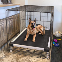 FXW TitanNest marco de aluminio resistente para perros grandes.