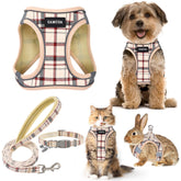 Harnais GAMUDA pour petit chien en plaid beige, confort quotidien et ajustement sûr.