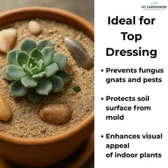 GARDENWISE arena decorativa natural: añade un acabado limpio y elegante a terrarios