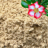 GARDENWISE Arena Fina para Plantas, uso en macetas, mejora drenaje y aireación.