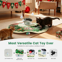 Gardner Pet 5en1: laser-puntero para sesiones de ejercicio en casa.