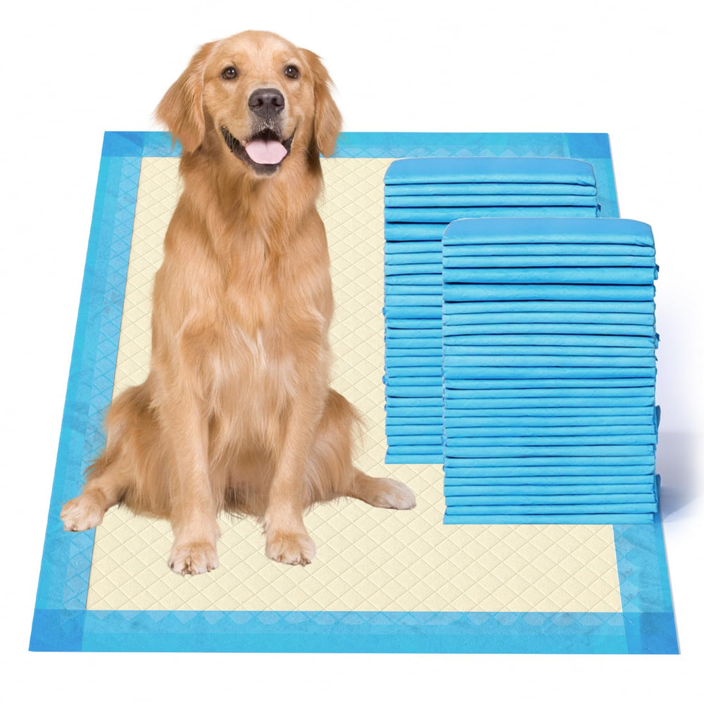 Gardner Pet pad bordes-doble-proteccion para evitar filtraciones en el entorno
