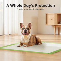 Gardner Pet pads membrana impermeable para evitar goteos en suelos.