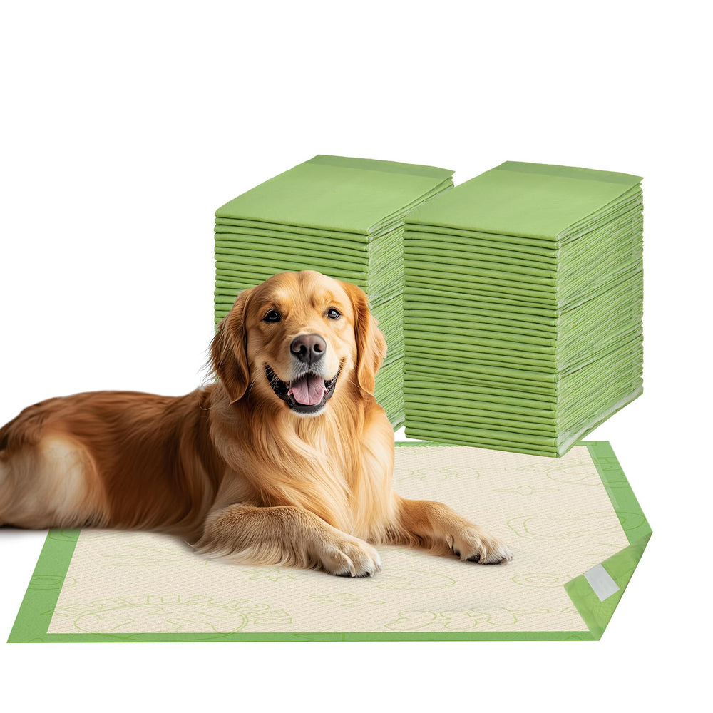 Gardner Pet tapete higienico para perro con adhesivo de cuatro puntos para fijación estable.