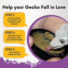 Gargeer mezcla fruta gecko crestado, sabor natural y digestión suave