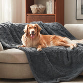 GASUR manta para perros grandes sobre sofá: protege muebles y pelo