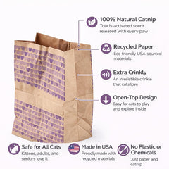 Generic catnip bolsa de papel crujiente, abierta: invita a perseguir el crujido.