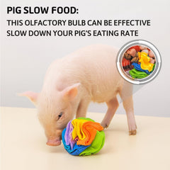 Generic-cerdos-alimento-lento: prolonga las comidas escondiendo golosinas entre las capas.