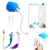 Generic: juguete interactivo colgante para puerta azul en acción para gatos.