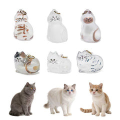 Generic set de 6 llaveros cápsula para pelo de mascota, almacenamiento transparente.