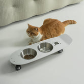 Tazón Genérico para perros con diseño patineta, aporta estilo y orden en cada comida.
