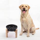 Genérico cuenco cerámico de alimentación lenta, negro, para perros medianos y grandes.
