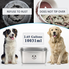 GIXSEGIE cuenco profundo para perros, permite comer cómodamente.