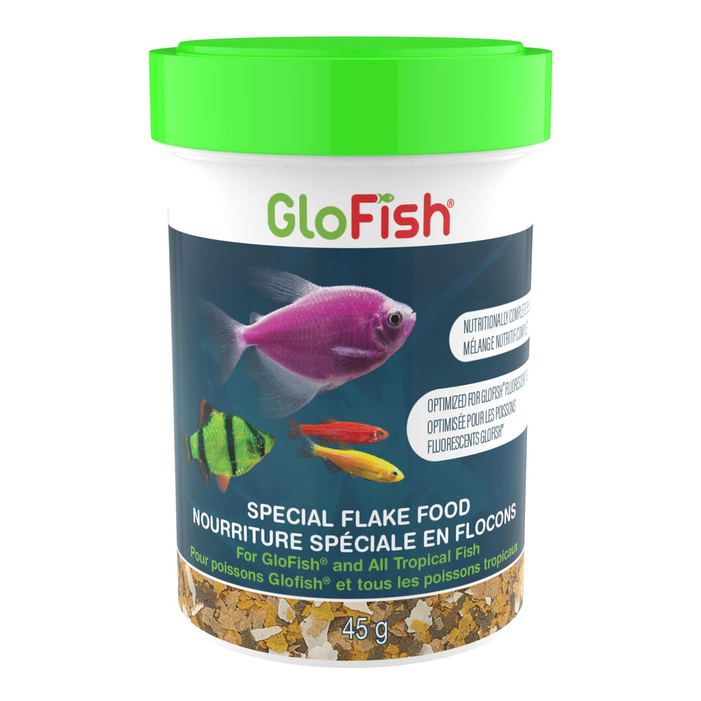 GloFish – alimento en escamas especial para realzar el brillo de los peces fluorescentes.