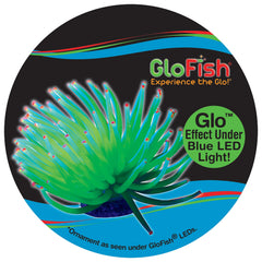 GloFish Anémona Amarilla muestra acabado plateado bajo luces.