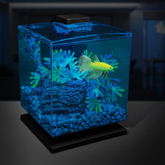 Sustrato GloFish complementa plantas y decoraciones para un aspecto cohesivo.