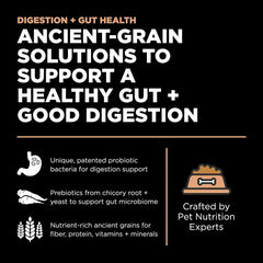 Go! Solutions Digestión resalta fibra de psyllium y chicoria para apoyar la digestión.