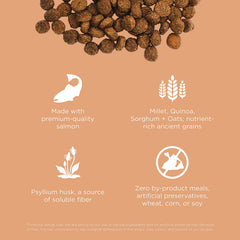 Go! Solutions Digestión salmón seco: croqueta con probióticos para microbioma saludable.