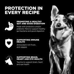 Go! Solutions Sensitivities sin granos ni gluten para perros con intolerancias.