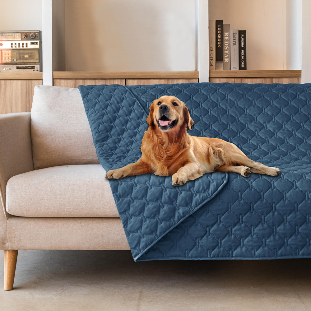 Gogobunny cobertor impermeable para muebles protege sofás de arañazos.