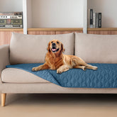 Gogobunny manta impermeable para mascotas en azul oscuro, protege muebles y derrames.