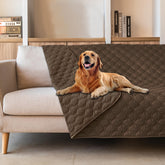 Manta gogobunny impermeable para proteger muebles en el sofá