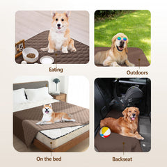 Manta gogobunny proteccion-muebles ideal para sofás y camas.