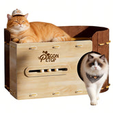 GONPETGP gran cama para gatos en interior, espacio amplio para descansar